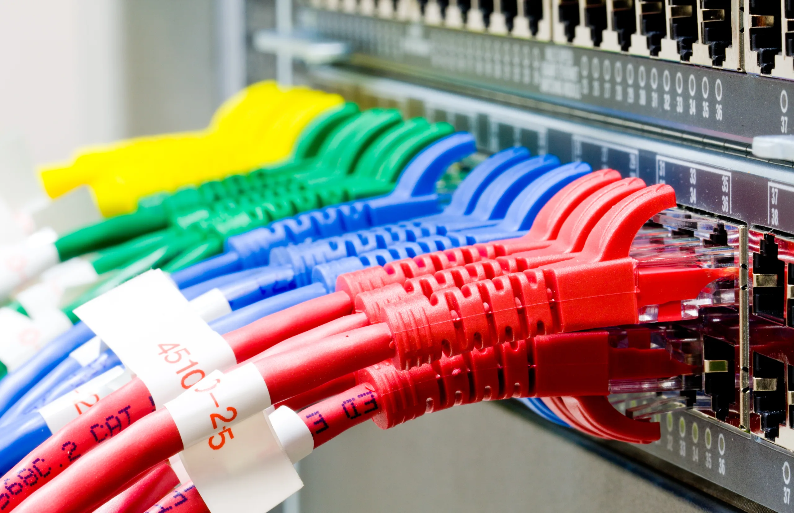 Kurumsal Network Yapısı